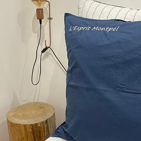 Apartamento L'esprit Montpel 